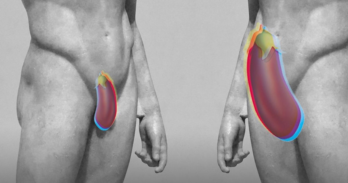 La taille du pénis est-elle importante ?